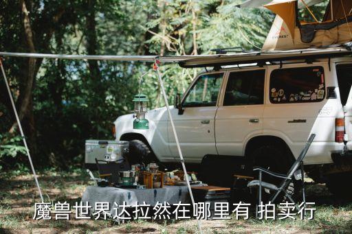 拍賣行戰士計劃，聯盟部落主要城市有拍賣行...